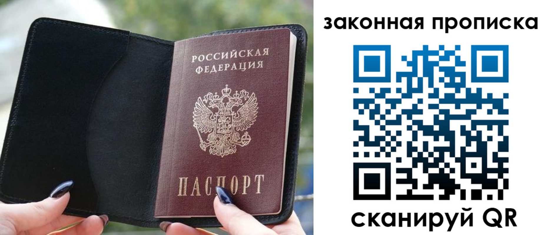 прописка законно в Светлограде